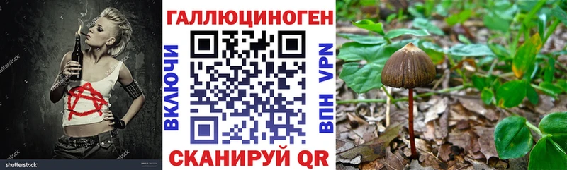 Псилоцибиновые грибы мицелий  Купить где  Мещовск 